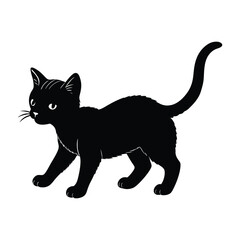 Kitten Exploring with Tiny Steps and Tail Straight Up Silhouette