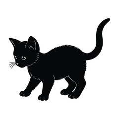 Kitten Exploring with Tiny Steps and Tail Straight Up in Silhouette