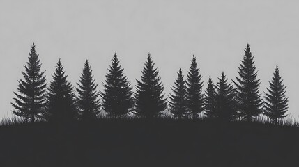 Obraz premium Silhouetted forest, hill, sky, nature, banner