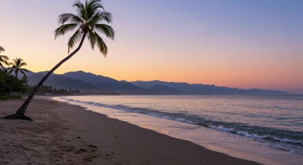 Fototapeta premium Landscape sunset vibes on the beach with calm waves, coconut tree and mountain background