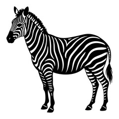 Fototapeta premium Zebra silhouette isolated on white