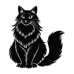 Majestic Long Haired Cat Sitting Proudly in Regal Pose