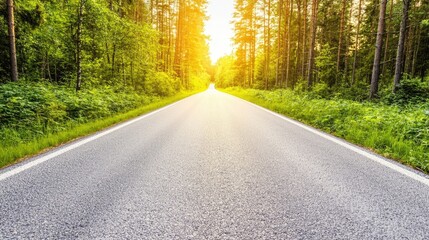 Fototapeta premium Straight Road Leading Into Sunlit Forest at Sunrise with Greenery and Trees Illuminated by Warm Natural Light