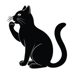 Cat Licking Its Paw in a Calm Natural Manner