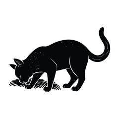 Cat Investigating the Ground with Alert Senses