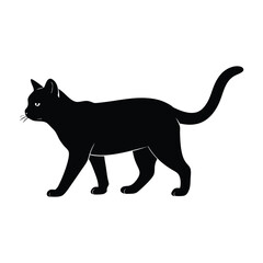 Obraz premium Cat Walking Across the Floor with Graceful Steps