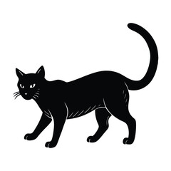 Cat Advancing Boldly with Determined Energy