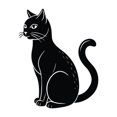 Cat Seated with Erect Tail on Clean White Backdrop