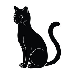 Cat Sitting with Upright Tail on Pristine White Backdrop