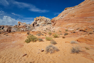 Fototapeta premium Valley of Fire State Park, Nevada