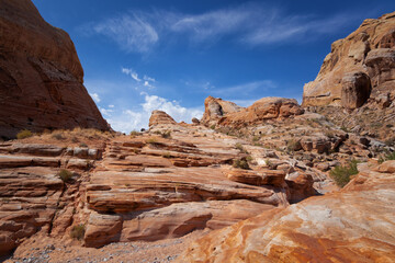 Fototapeta premium Valley of Fire State Park, Nevada
