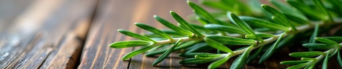 Obraz premium Close-up of fresh rosemary branch on rustic textured background, organic, cooking