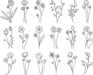 Gray floral line art, white background, design element, illustrations