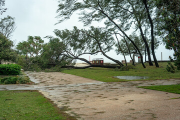 Gold Coast, QLD, Australia - Cyclone Alfred aftermath in Broadbeach