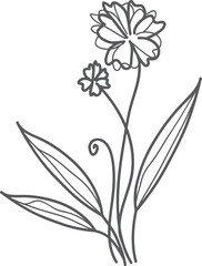 Gray floral sketch, white background, design element