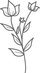 Gray floral stem with blossoms, minimalist line art, white background, design element