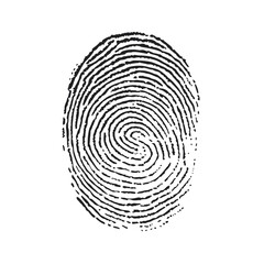 human ink fingerprint isolated on white or transparent png