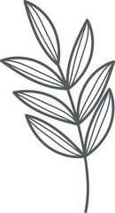 Gray leaf sprig, simple design, white background, design element