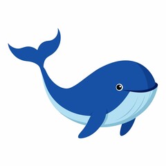 A whale illustration on white background.