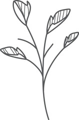 Gray sketched sprig, leaves, white background, design element
