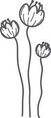 Grey sketch, three flowers, white background, design element
