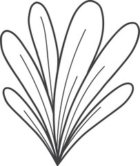 Hand-drawn floral element, isolated, white background, design resource