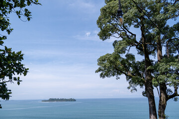 Big tree with green leaves and a calm blue ocean in the background, Padang, West Sumatra, Indonesia.