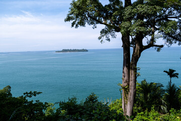 Big tree with green leaves and a calm blue ocean in the background, Padang, West Sumatra, Indonesia.