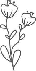 Hand-drawn floral sprig, white background, design element