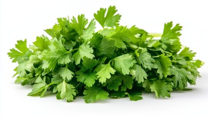 Obraz premium Lush cilantro leaves set against a white surface, emphasizing their lively green hue and unique shape
