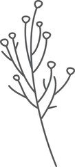 Simple grey floral branch, isolated, white background, design element © Fianpanic