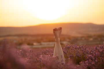 Close-up of the  legs against a  lavender field at sunset. The golden light bathes the landscape, csting a warm glow on the vibrant purple flowers in the meadow
