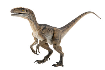 velociraptor with transparent background
