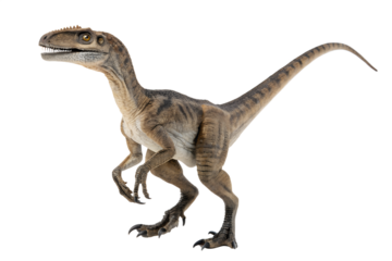 velociraptor with transparent background
