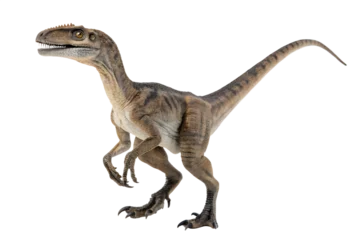  velociraptor with transparent background © KantorArtificial