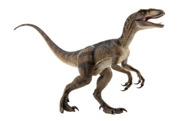 velociraptor with transparent background