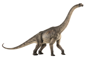 brachiosaurus with transparent background