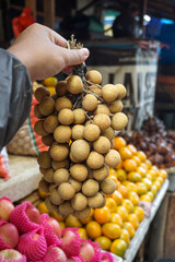 Fresh Longan Held in Hand, Kelengkeng, mata kucing 