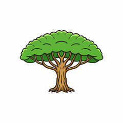 green tree isolated on white