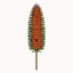 christmas tree isolated on white