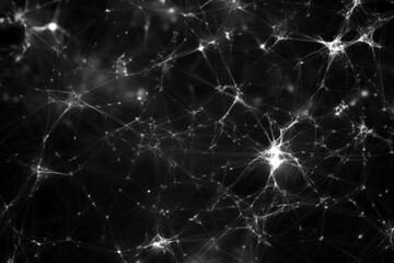 A black and white image of a web of lines and dots. The image is abstract and has a moody, mysterious feel to it