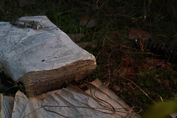 bible found in woods
