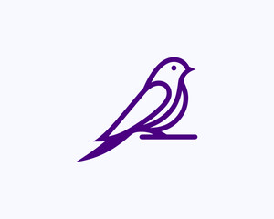 blue bird on a branch