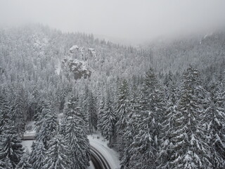 au cœur de la foret vosgienne
