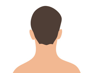 illustration of the back view of a man's head and shoulders. Simple and minimalistic design, suitable for medical, educational, or anatomical content.