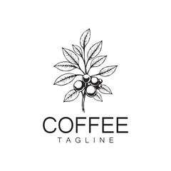 Logo design of arabica coffee cup and coffee plant hand drawn vintage style