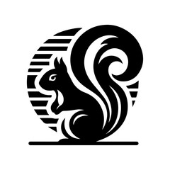 Squirrel on a white & Black 