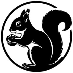 Squirrel on a white & Black 