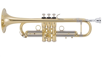 Obraz premium A Gleaming Gold Trumpet: A Musical Instrument