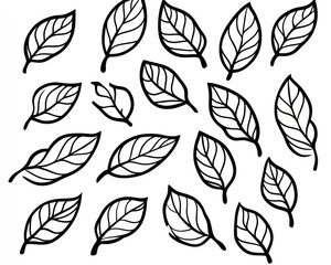 Obraz premium Simple black leaves pattern, white background, design element